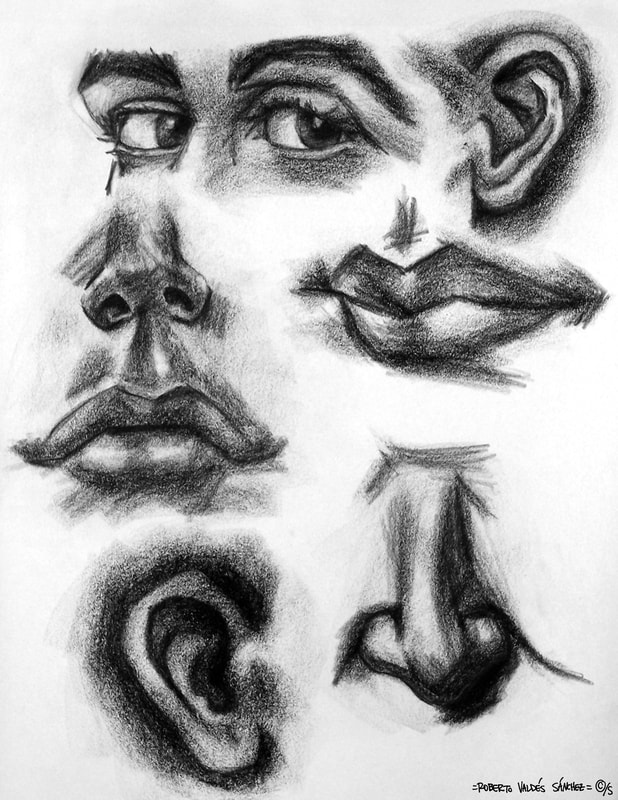 Black-and-white charcoal art drawing of the various parts of the human face - the eyes, nose, mouth, and ears.